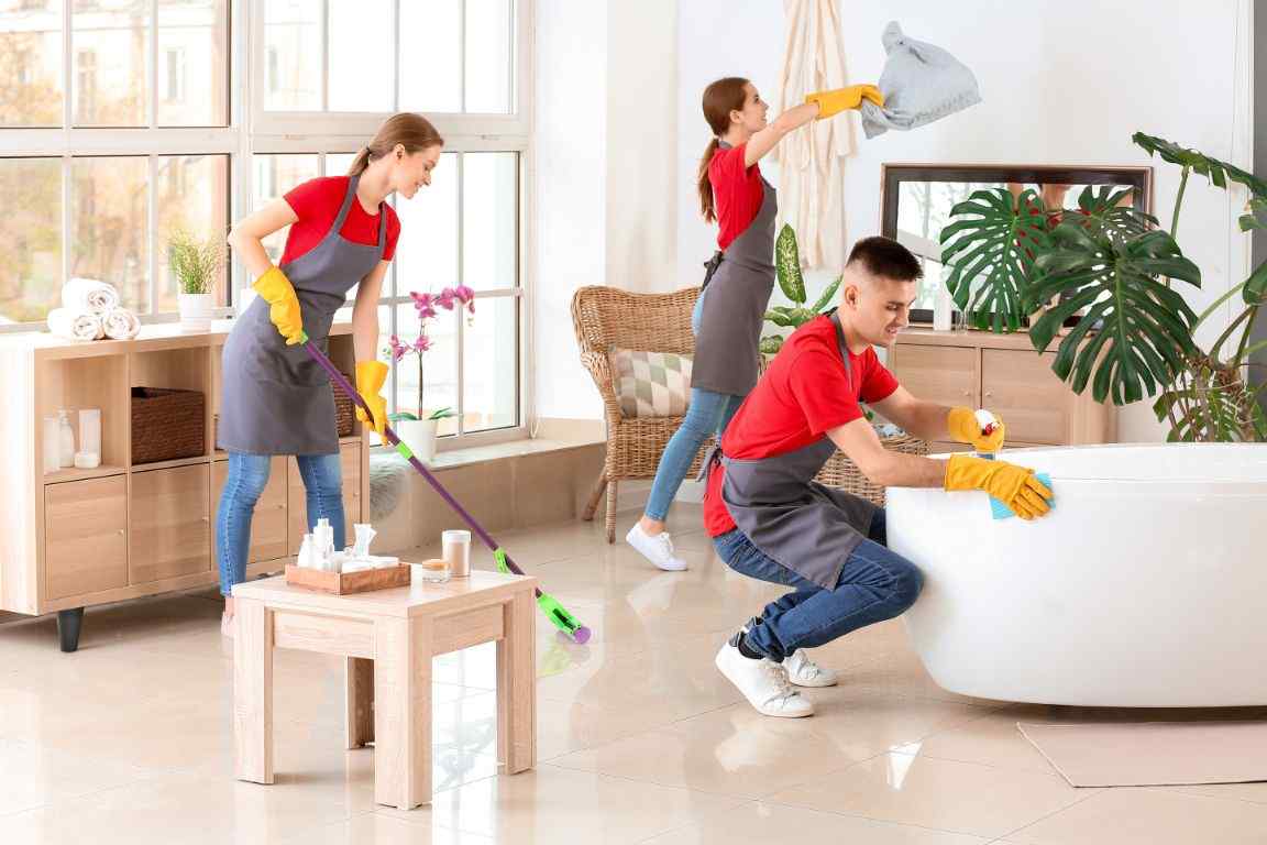 Residential Cleaning Services in Fort Collins